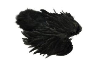 Whiting Rooster Sh/C Black