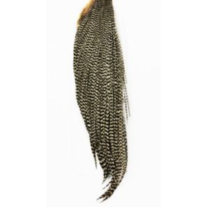 Whiting High and dry 1/2 cape grizzly