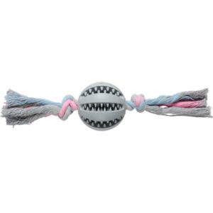 Trixie Companion Dental bidebold på reb