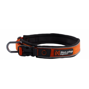 Non-Stop Roam Collar Orange