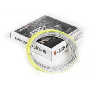 GUIDELINE 4 cast+ WF