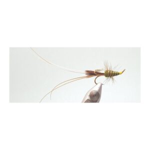 Arcticproducts Frances Olive (Gold Treble)