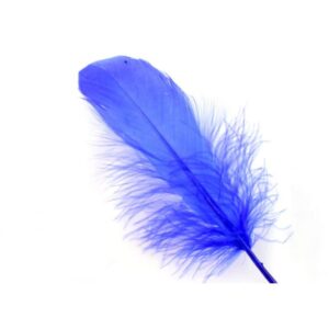 Veniard Ltd Gås Skulderfjær Dark Blue