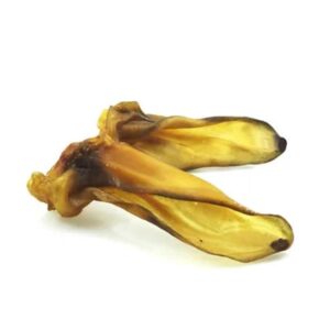 Trixie Lammeøre Varanger Sportslager 1