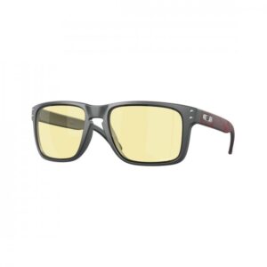 Oakley Holbrook XL Mt Carbon/ Przm Gaming